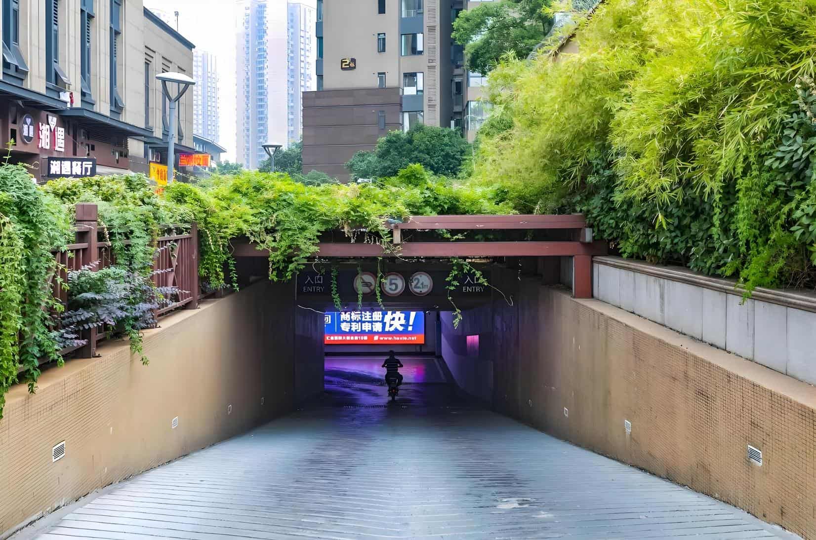公共区域